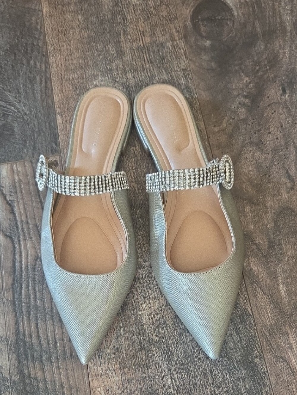 Kelly & Katie Silver Pointed-Toe Mary Jane Flats with Crystal Buckle